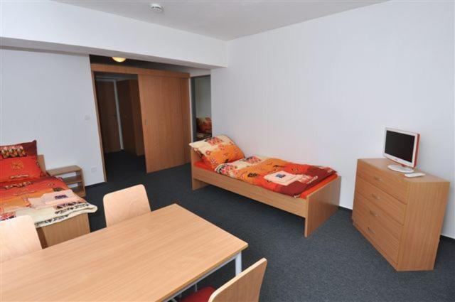 Sport Hotel Ticha Orlice Ústí nad Orlicí 部屋 写真