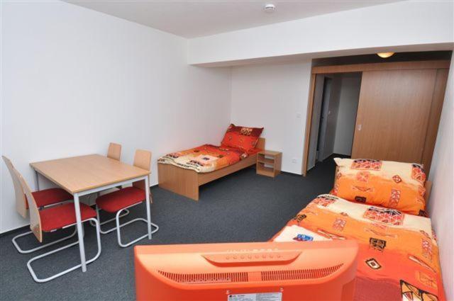 Sport Hotel Ticha Orlice Ústí nad Orlicí 部屋 写真